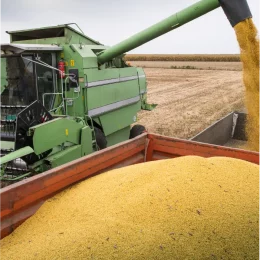 Estrategias y herramientas comerciales agricolas